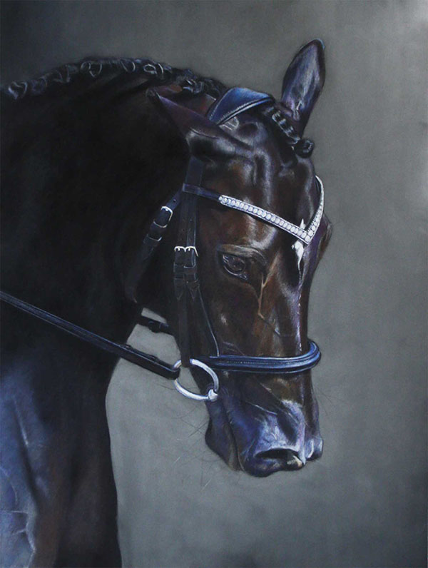 horse-colour-pencil-drawing-mojo