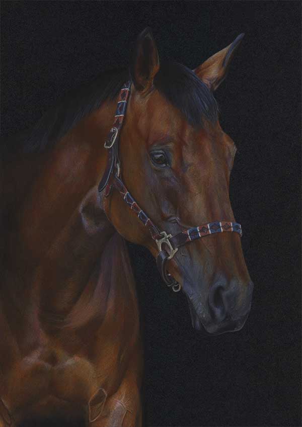 horse-colour-pencil-drawing-deltic-africa