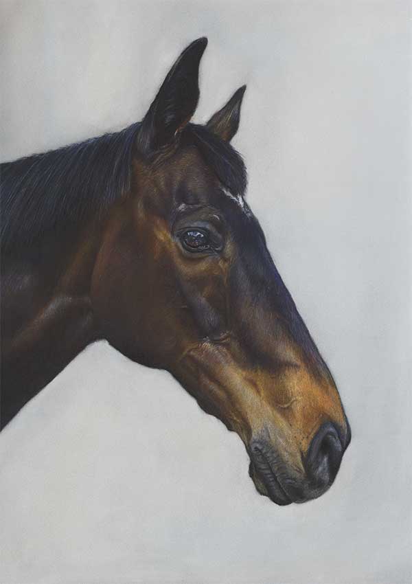 horse-coloured-pencil-drawing-kowbowski