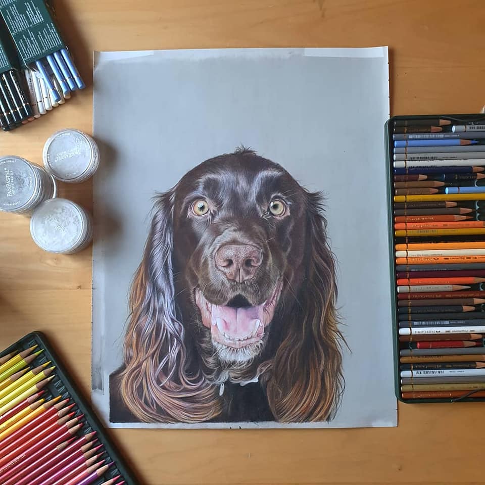 Steve Barker Pet Artist